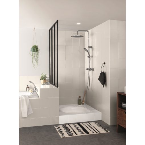 Renovation Perfection Bathroom 0,75L, cotton